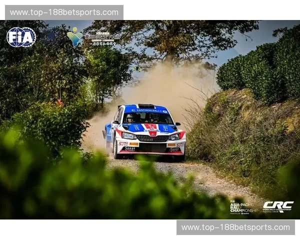 WRC排位赛时间解析：让你不错过每一刻激动人心的瞬间